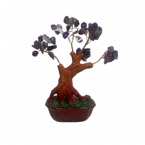 Arbol Piedra Elementos Para El Ser